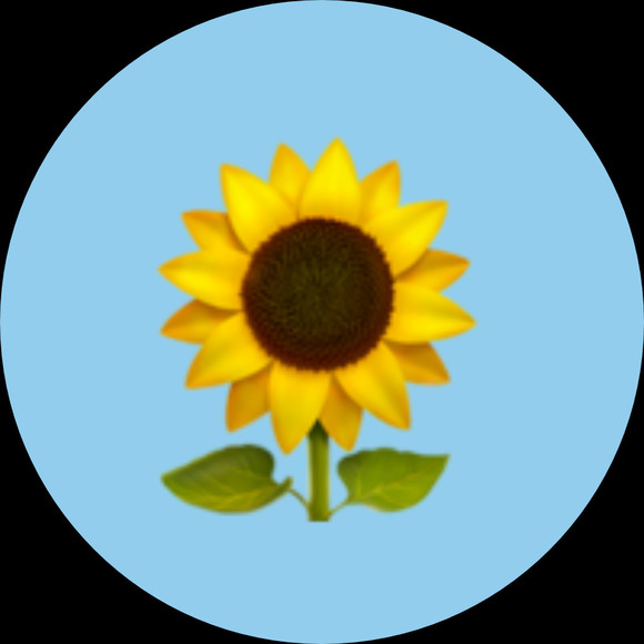 sunflower025